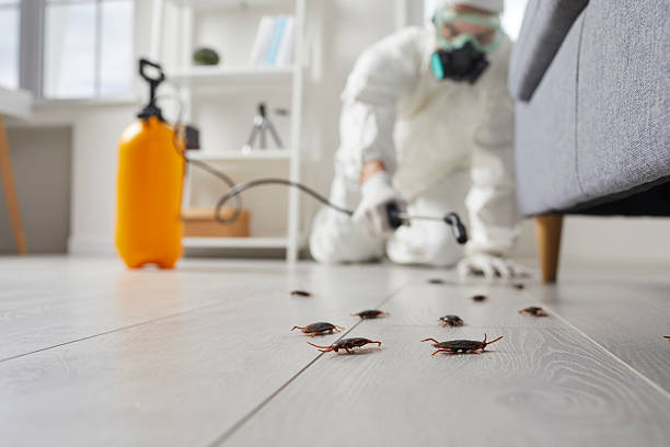 Commercial Kitchen Cockroach Control in West Union